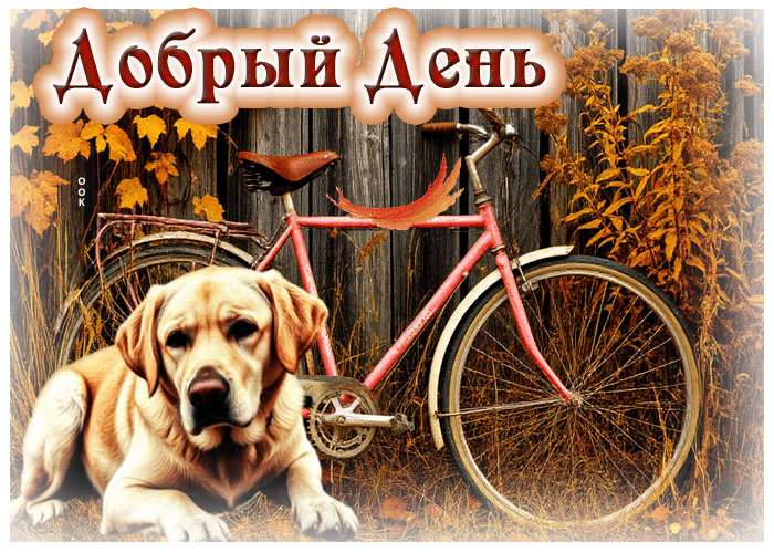 Picture милая, приятная осенняя гифка добрый день