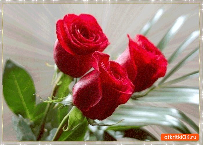 Открытка милый букетик роз я тебе дарю