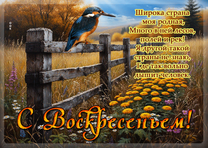 Postcard миролюбивая осенняя гифка с воскресеньем