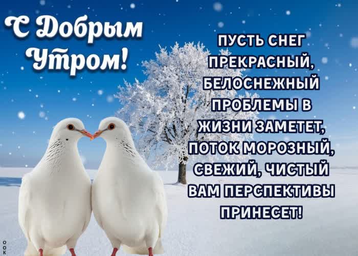 Picture мороз за окном — тепло в душе.