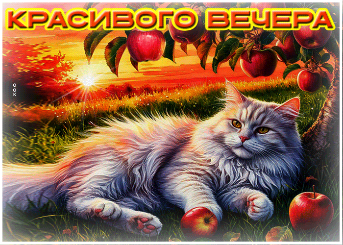 Picture необычная летняя гиф-открытка красивого вечера!