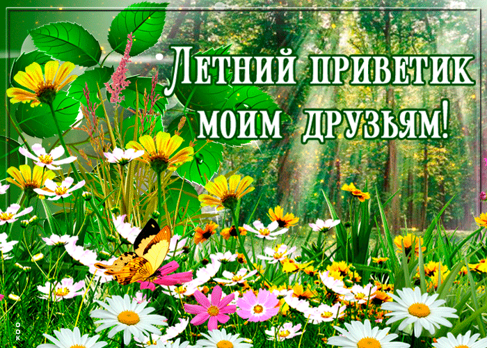 Открытка очень захотелось тебя порадовать мой друг