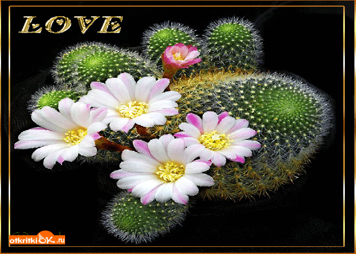 Открытка открытка love