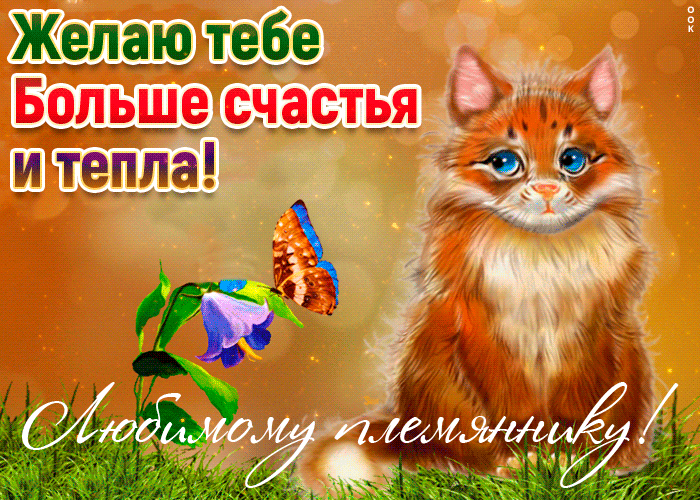 Открытка открытка любимому племяннику