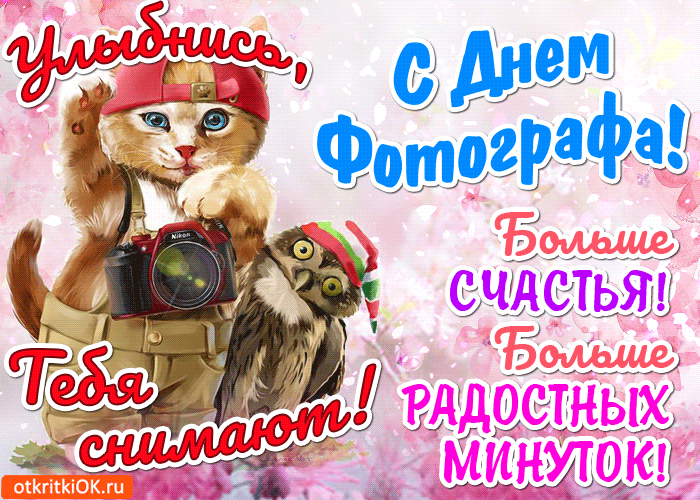 Открытка открытка с днём фотографа