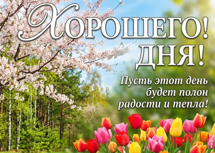 Picture отличного дня! пусть сегодня всё складывается удачно