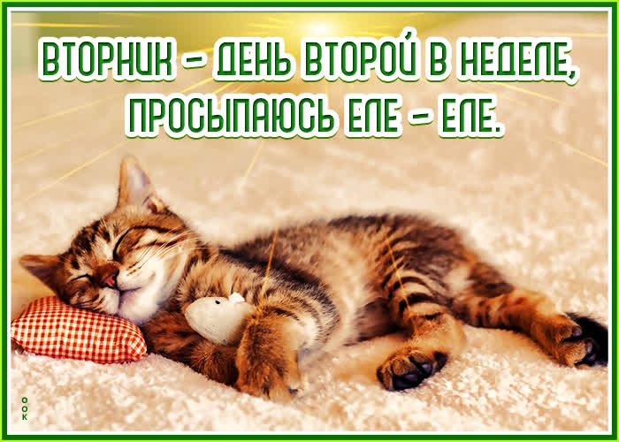Картинка потешная открытка с вторником