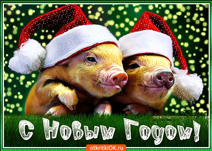 Открытка праздник пусть несёт веселье