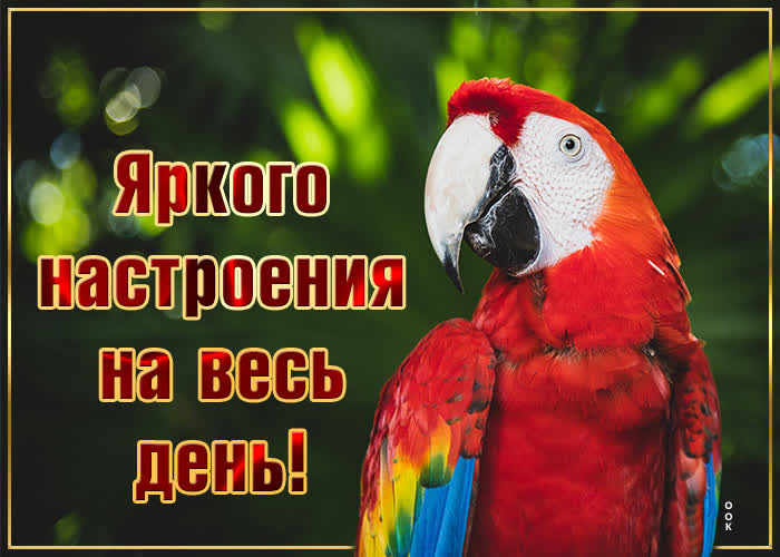 Открытка прекрасного настроения желаю вам