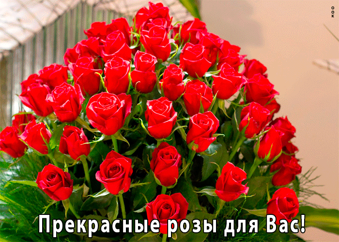 Картинка прекрасные розы для вас