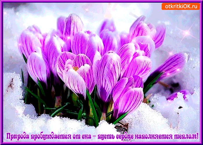 Открытка природа пробуждается от сна