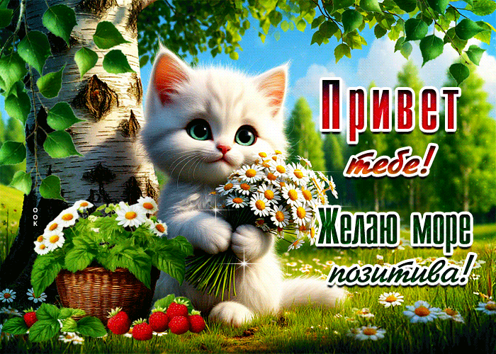 Picture привет тебе! желаю море позитива