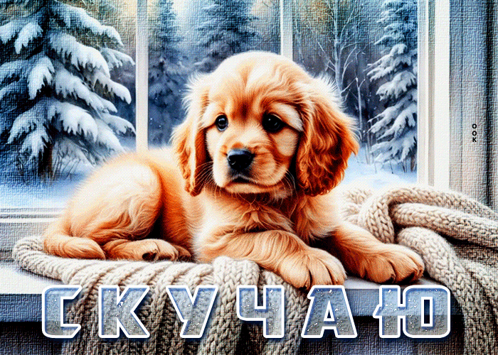 Postcard приятная, милая гифка скучаю