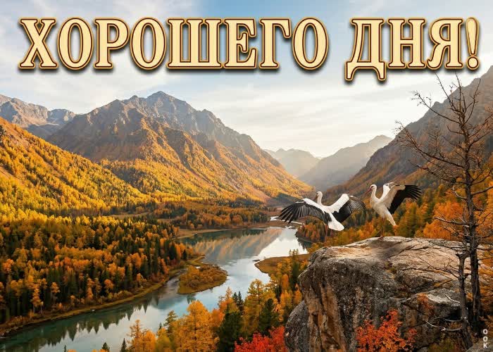 Postcard пускай сегодняшний день будет особенным.
