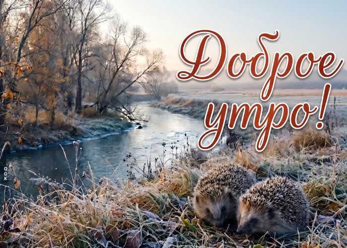 Postcard пусть это утро начнётся с приятных мыслей и улыбки