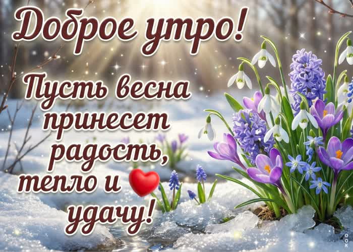 Postcard пусть это утро наполнится свежим воздухом, тишиной и красивым настроением.