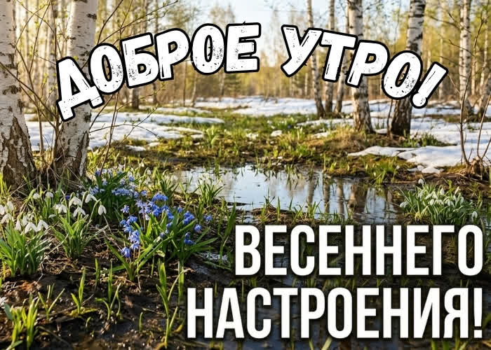 Picture пусть это утро принесёт новые силы, гармонию и прекрасное настроение.