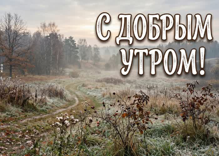 Postcard пусть это утро принесёт только хорошие мысли и уверенность в новом дне