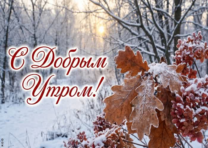 Picture пусть этот день начнётся спокойно, красиво и с хорошего настроения.