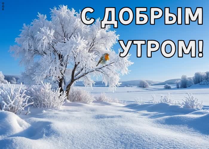 Postcard пусть этот день подарит радость.