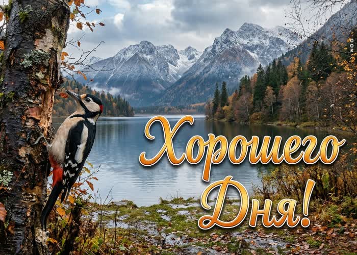 Postcard пусть этот день станет началом чего-то хорошего
