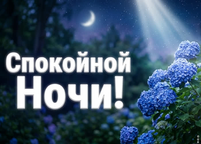 Postcard пусть ночь укутает тебя уютом и теплом