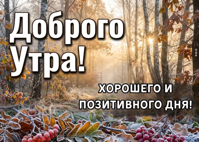 Picture пусть осенний воздух наполнит тебя энергией и вдохновением