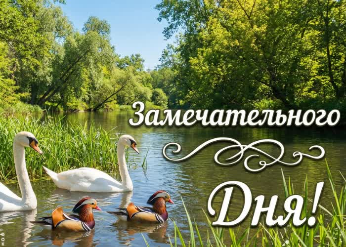 Postcard пусть сегодня всё будет в радость