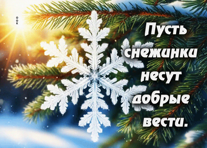 Postcard пусть снежинки несут добрые вести