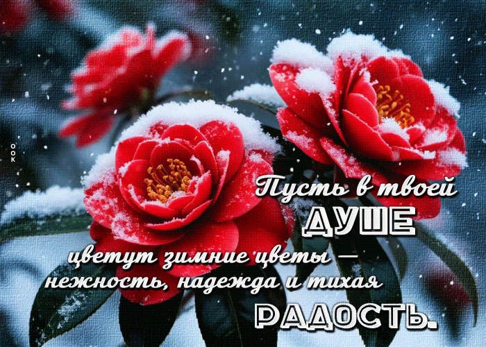 Postcard пусть в твоей душе цветут зимние цветы