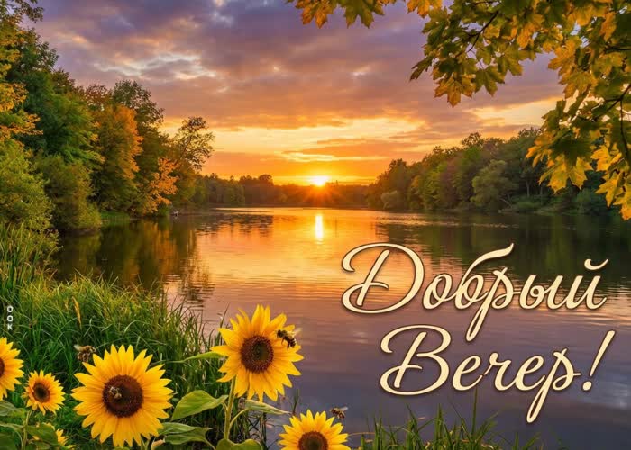 Postcard пусть вечер наполнится мягким светом, тишиной и ощущением настоящего счастья.