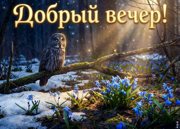 Postcard пусть закат принесёт спокойствие, вдохновение и отдых от суеты дня.