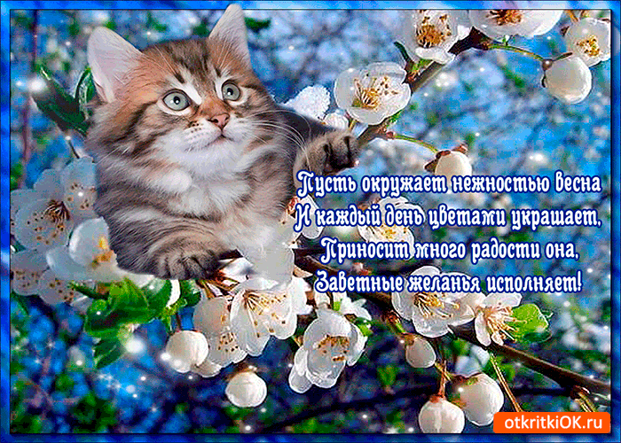 Открытка пусть окружает нежностью весна