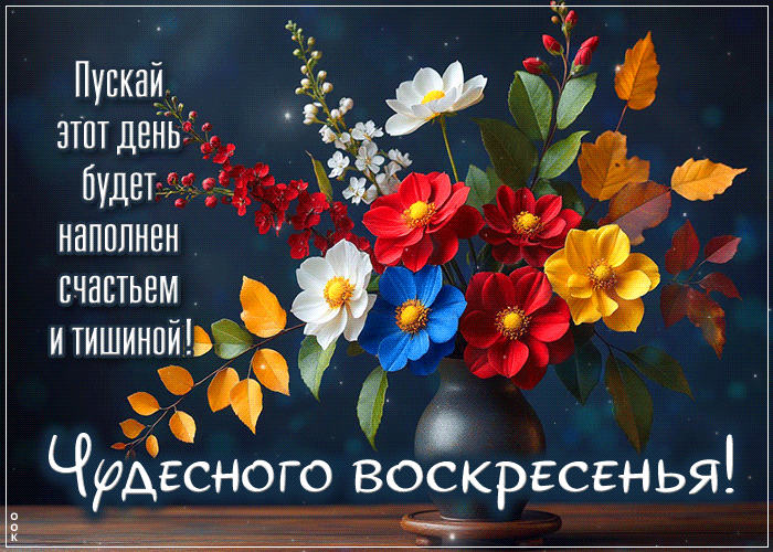 Postcard радостная и добрая гифка чудесного воскресенья