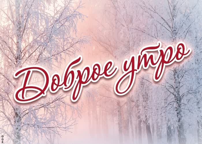 Postcard с добрым утром и мягким светом за окном!