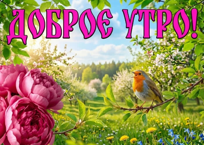 Postcard с добрым утром и тёплым солнцем!