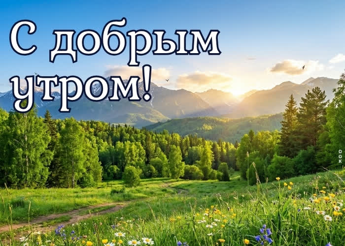 Postcard с добрым утром! пусть лето радует.