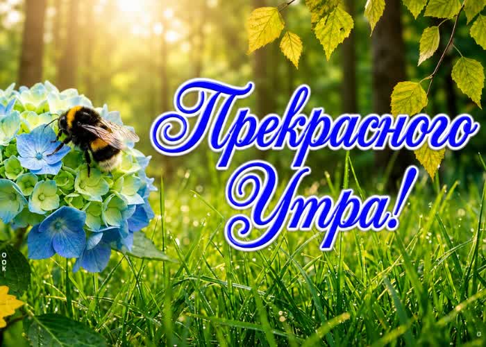 Picture с новым утром! пусть впереди тебя ждут только хорошее