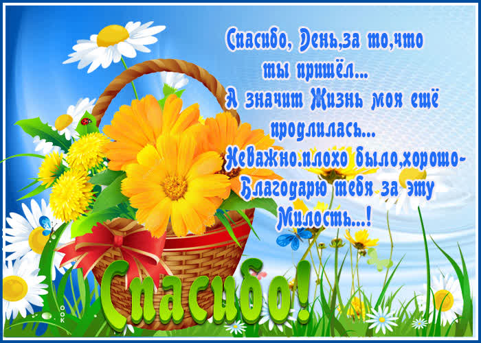 Картинка сердечное спасибо а также цветы