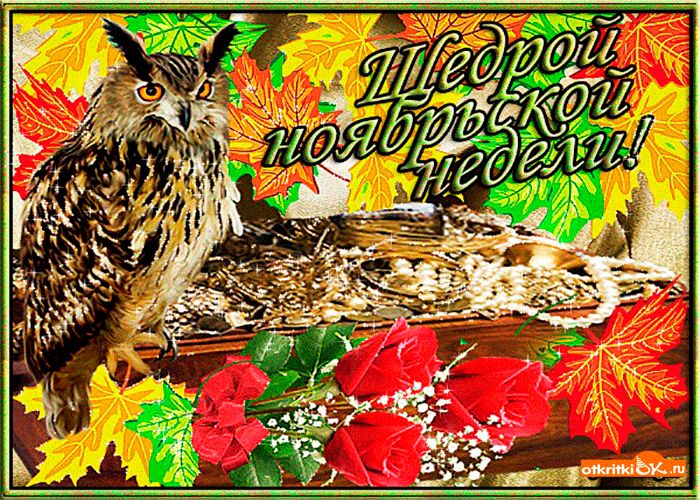 Картинка щедрой ноябрьской недели