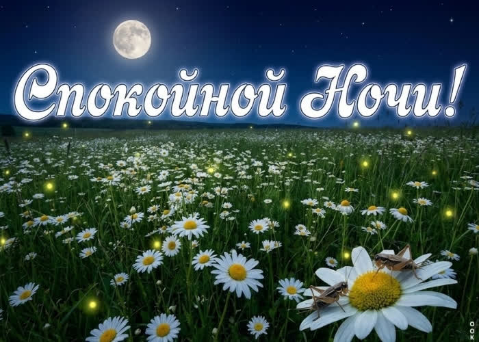 Picture сладких снов и тёплой, тихой ночи