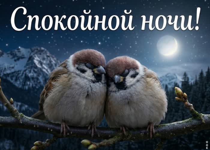 Picture сладких снов и хорошего отдыха