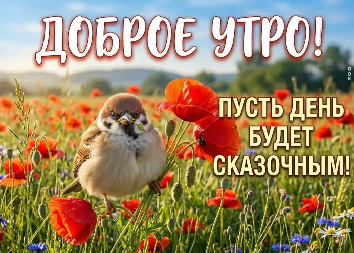 Picture солнечного настроения и лёгкости!