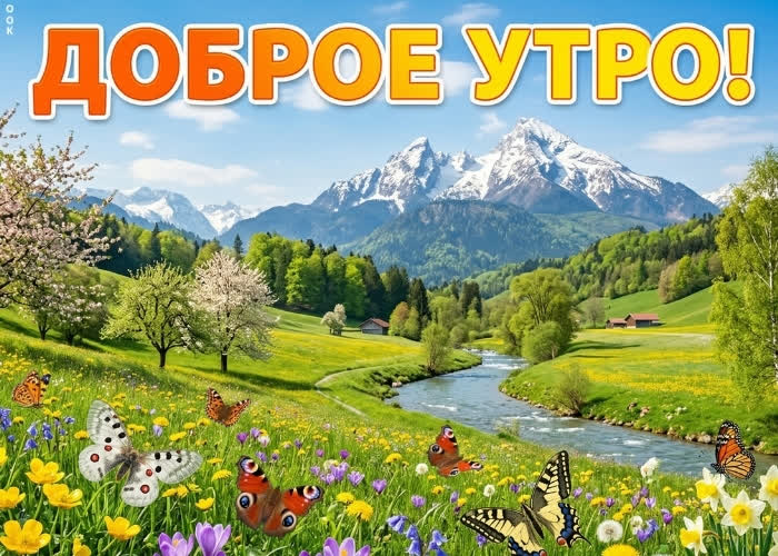 Postcard солнечного утра и лёгких мыслей!