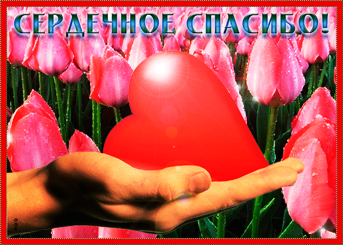 Открытка спасибо, и еще раз спасибо