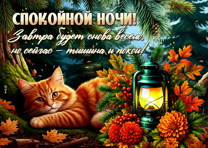 Postcard спокойной ночи! завтра будет снова весело, но сейчас - тишина и покой
