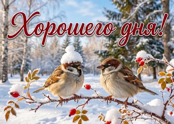 Picture спокойствия, лёгкости и красивого настроения на весь день.