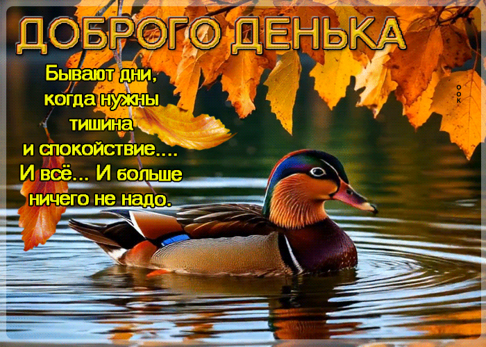 Postcard талантливая осенняя гифка добрый день