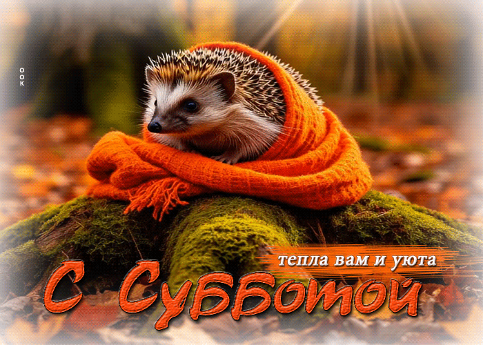 Postcard талантливая осенняя гифка с субботой, тепла вам и уюта