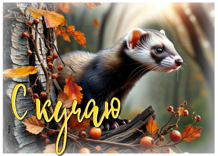 Picture талантливая осенняя гифка скучаю